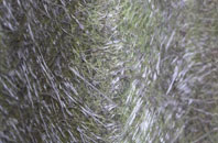 Chorley fibreglass roof work